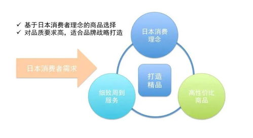 破解日本跨境電商核心痛點(diǎn)，寶麗星以專業(yè)運(yùn)營與系統(tǒng)運(yùn)維賦能出海之路